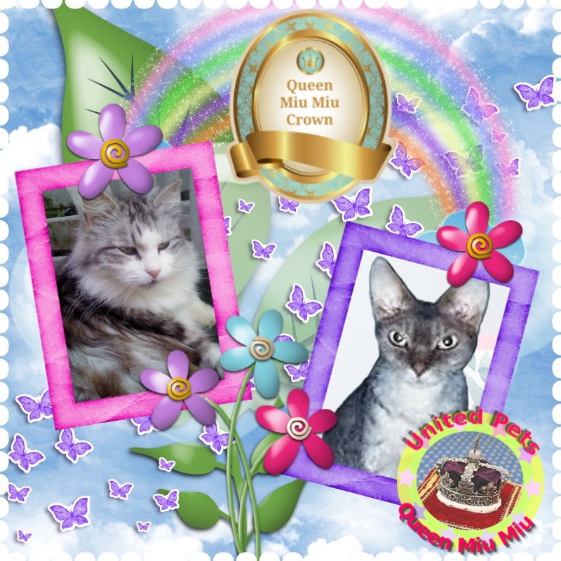 Tinny of the Didi family