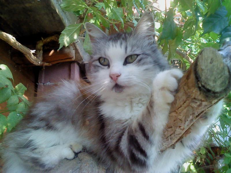 Didi uploaded   11 year/s ago