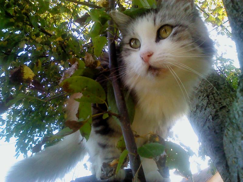 Didi uploaded   11 year/s ago