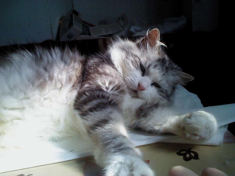 Didi uploaded   10 year/s ago