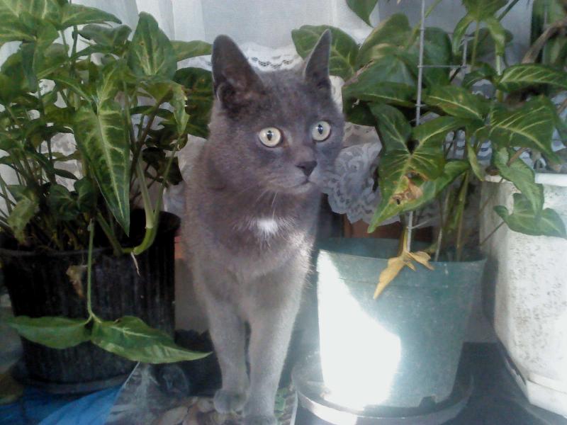 Didi uploaded   10 year/s ago