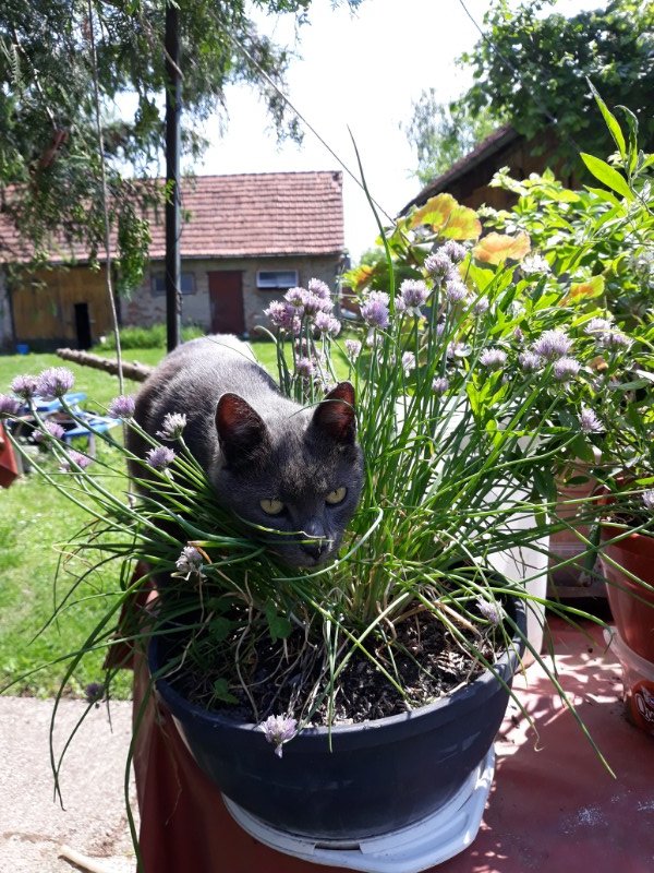 Didi uploaded   7 year/s ago