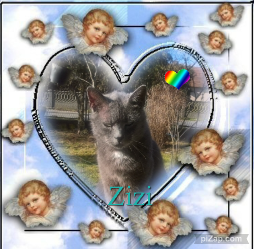 Zizi of the Didi family