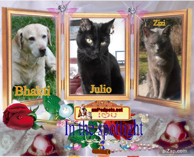 Zizi of the Didi family