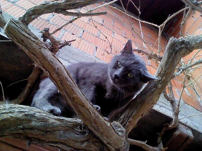 Didi uploaded   10 year/s ago