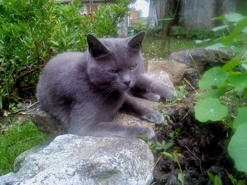 Didi uploaded   10 year/s ago