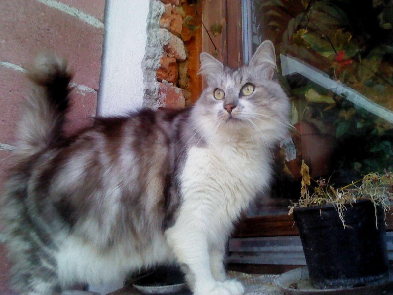 Didi uploaded   5 year/s ago