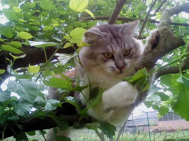 Didi uploaded   3 year/s ago