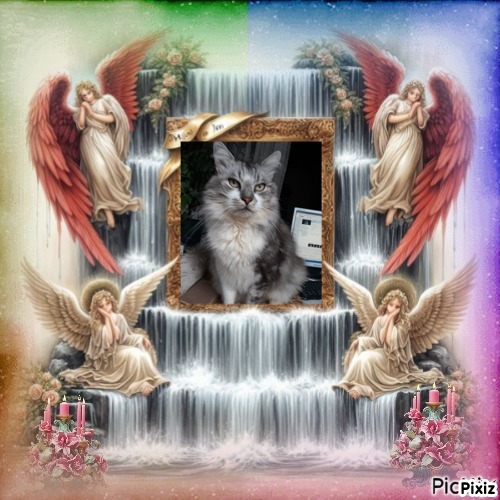 Ziga of the Didi family