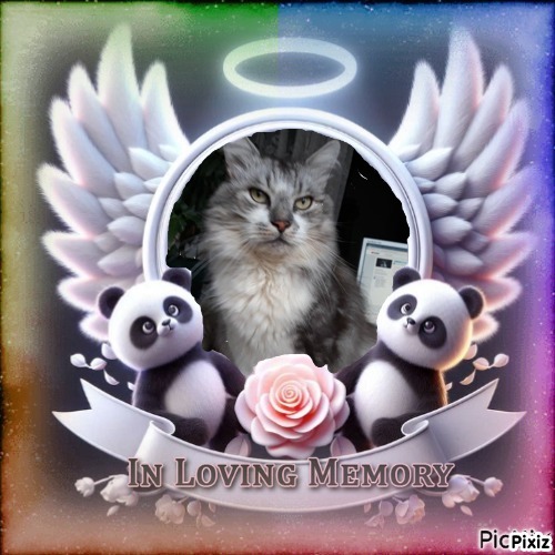 Ziga of the Didi family