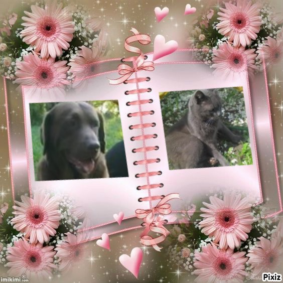 Hanny of the Didi family