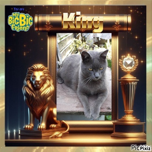 Hanny of the Didi family