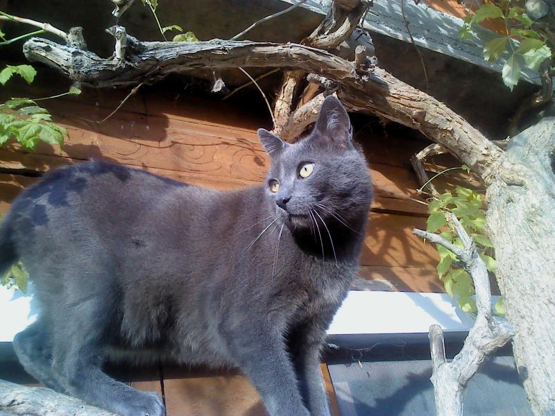 Didi uploaded   11 year/s ago