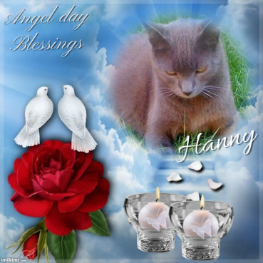 Hanny of the Didi family