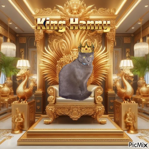 Hanny of the Didi family