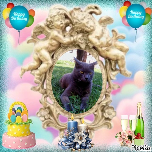 Hanny of the Didi family