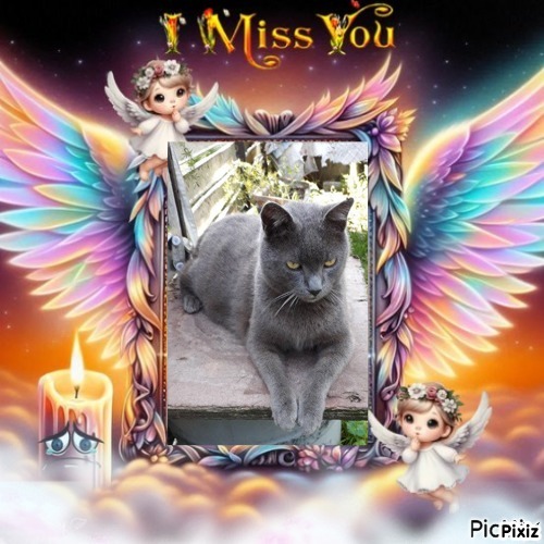 Hanny of the Didi family