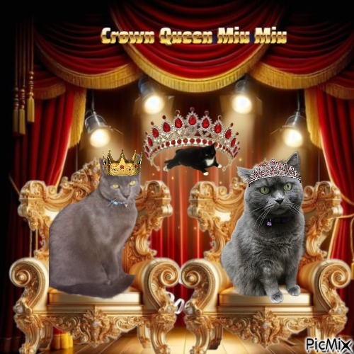 Hanny of the Didi family