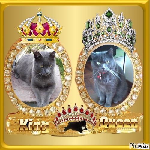 Hanny of the Didi family