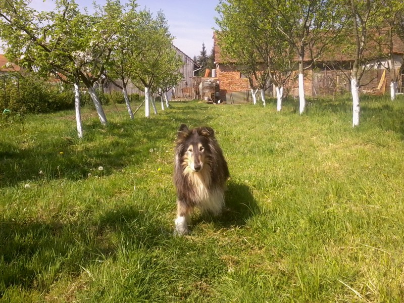 Didi uploaded   6 year/s ago