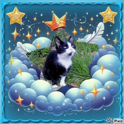 Didi Angels of the Didi family