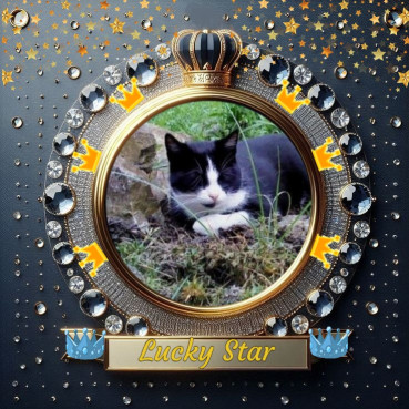 Didi Angels of the Didi family