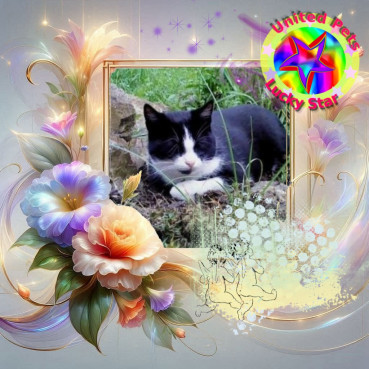 Didi Angels of the Didi family