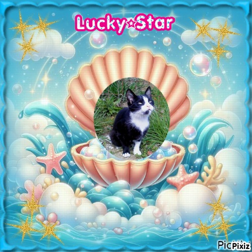 Didi Angels of the Didi family