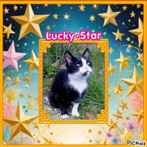 Didi Angels of the Didi family