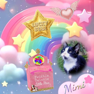 Didi Angels of the Didi family