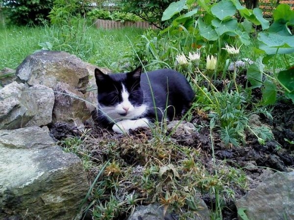 Didi uploaded   1 year/s ago