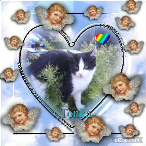 Didi Angels of the Didi family