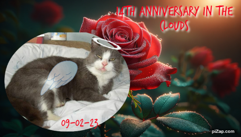 Didi uploaded   2 year/s ago