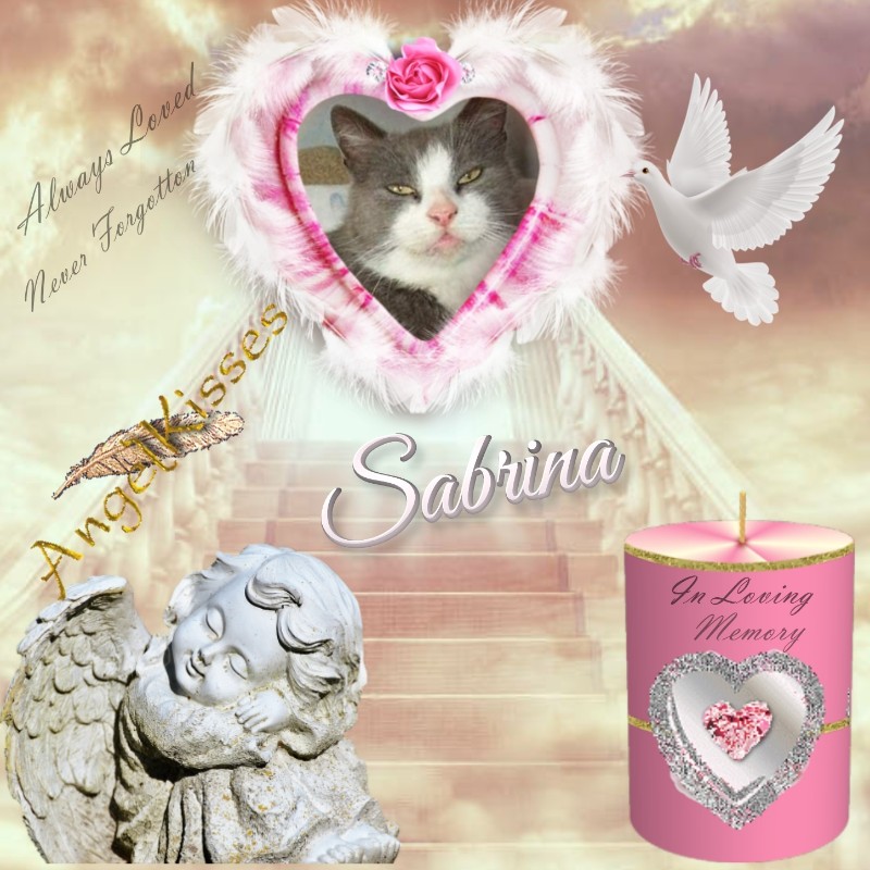 Didi Angels of the Didi family