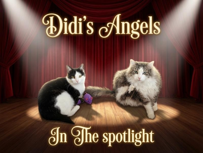 Didi Angels of the Didi family