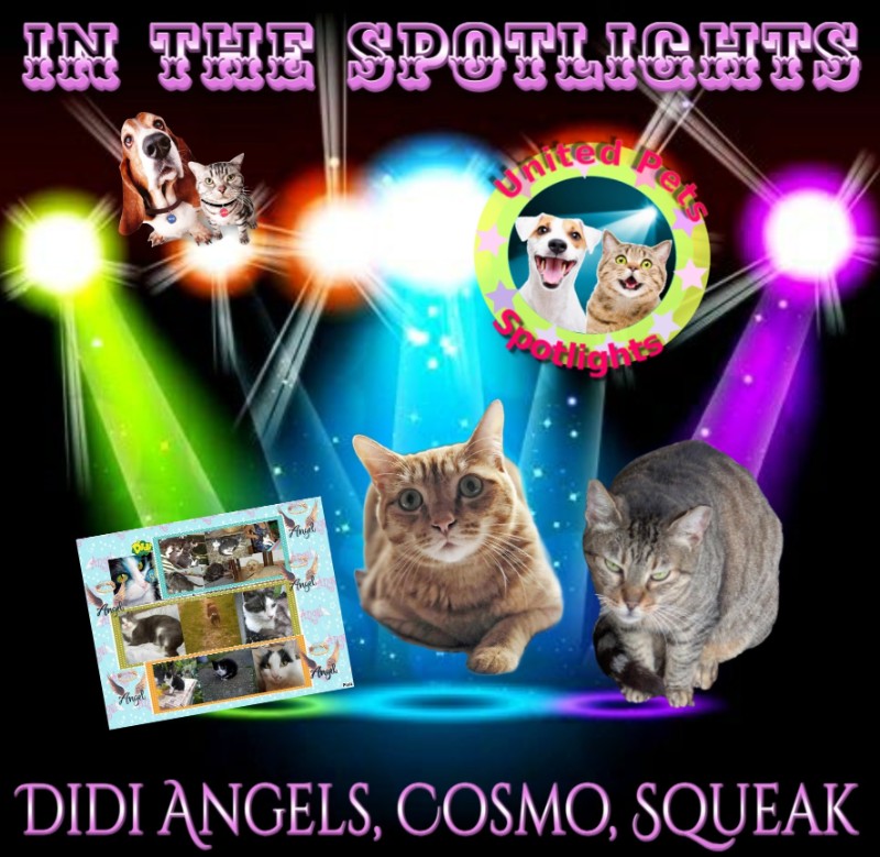 Didi Angels of the Didi family