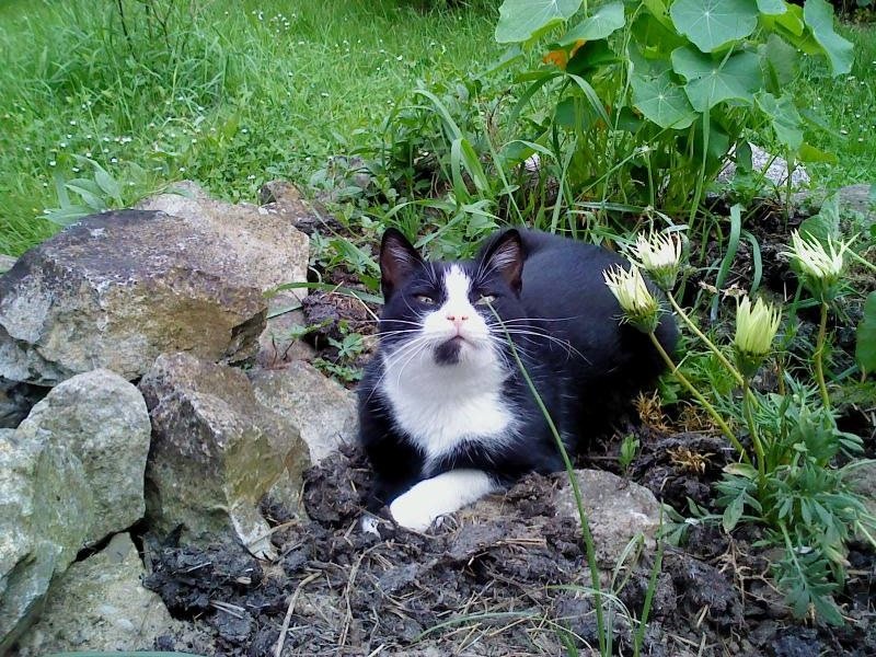 Didi uploaded   10 year/s ago