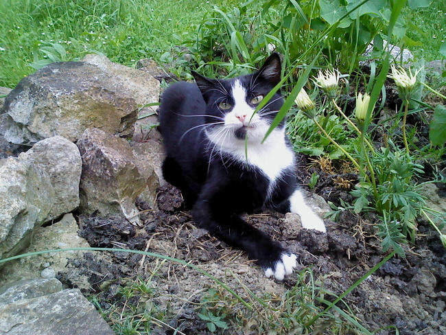 Didi uploaded   10 year/s ago