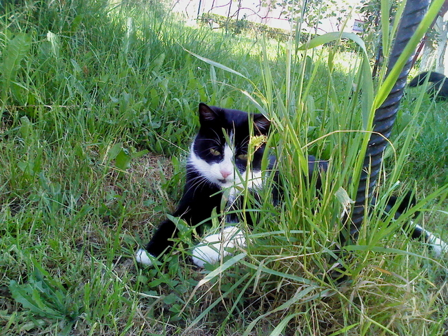 Didi uploaded   10 year/s ago