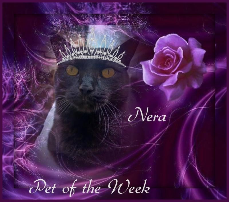 Nera of the Didi family