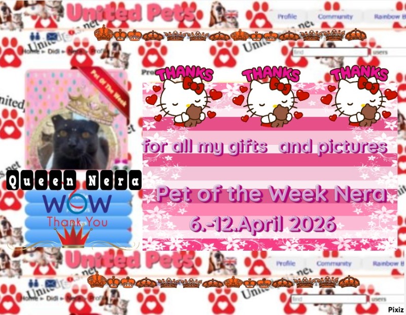 Nera of the Didi family