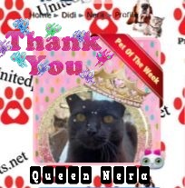 Nera of the Didi family