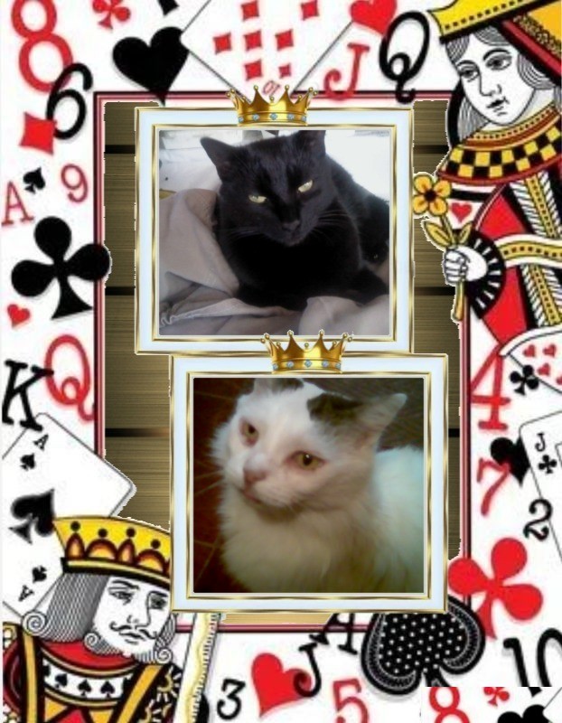 Nera of the Didi family