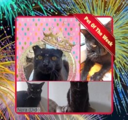 Nera of the Didi family