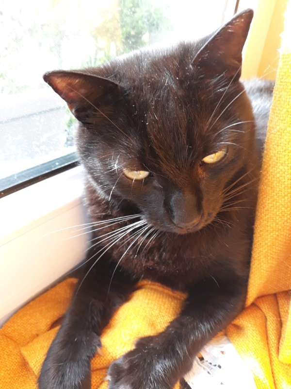 Didi uploaded   2 year/s ago