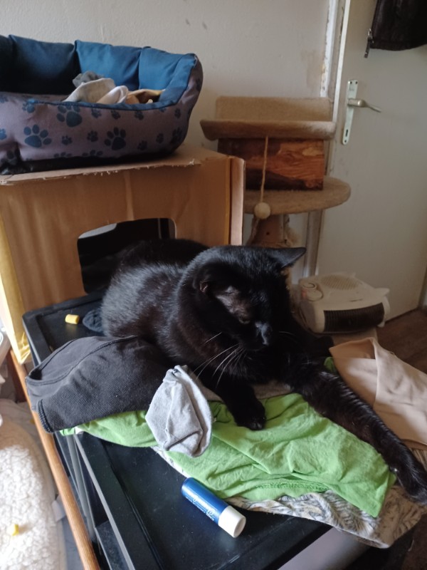 Didi uploaded   1 year/s ago