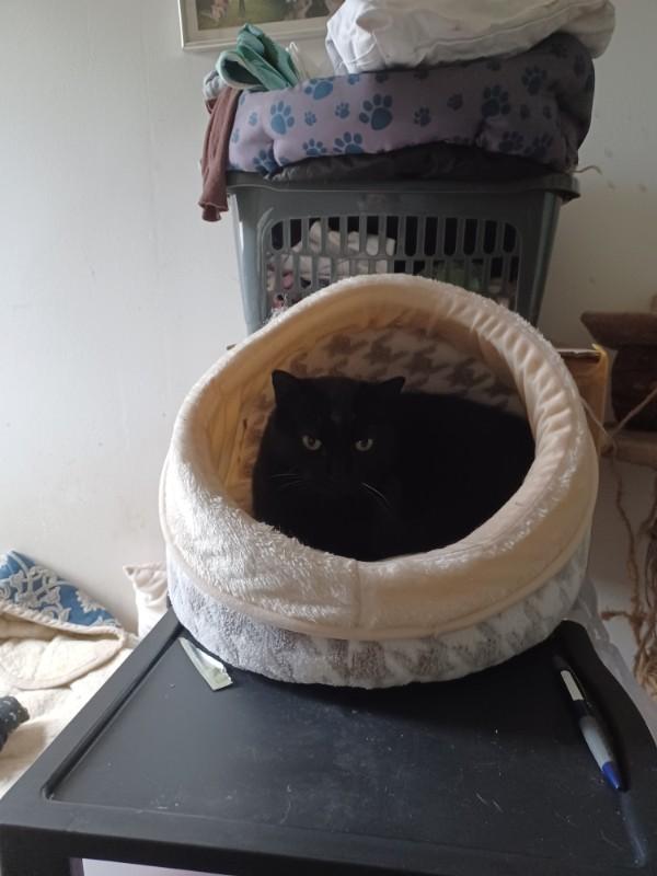 Didi uploaded   1 year/s ago