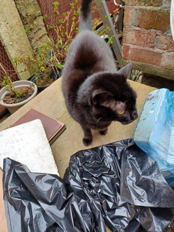 Didi uploaded   1 year/s ago