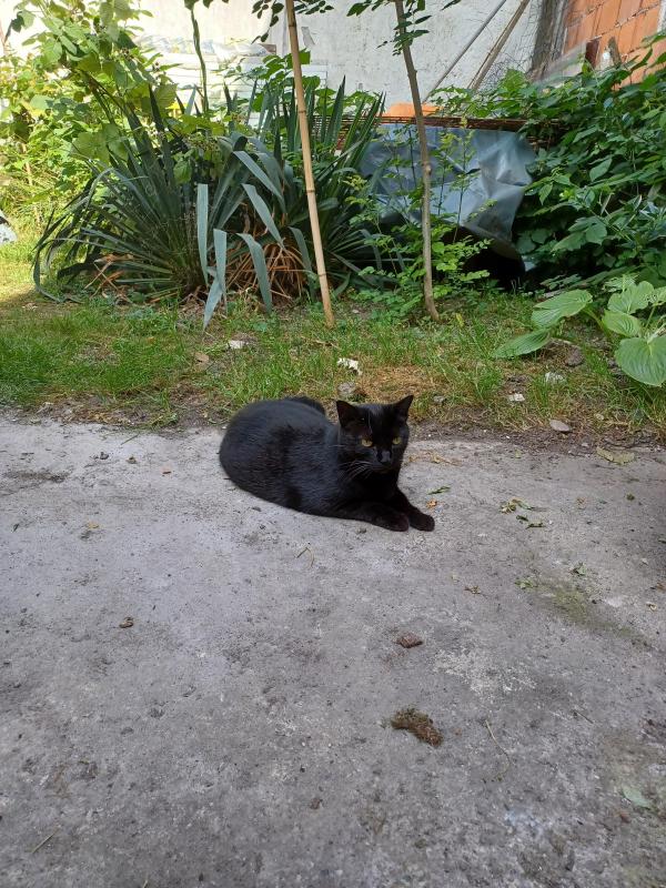 Didi uploaded   305  day/s  ago