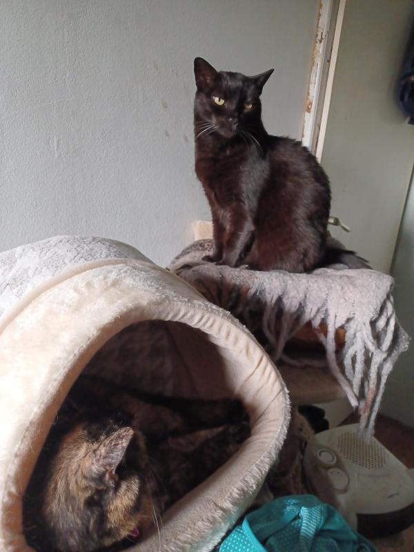 Didi uploaded   226  day/s  ago